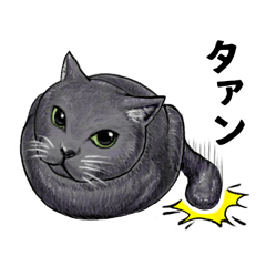 [LINEスタンプ] あっネコがいる！