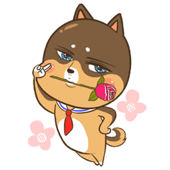 [LINEスタンプ] かわいい柴犬