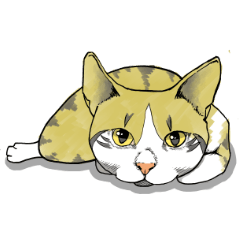 [LINEスタンプ] うちのネコです。1