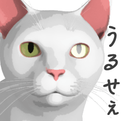 [LINEスタンプ] にゃんだか憎めにゃい奴。1 白猫の画像（メイン）