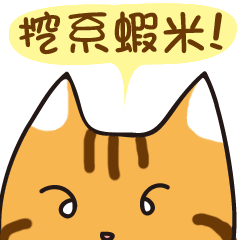 Jiong face Cat