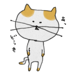 [LINEスタンプ] ねこのすまこの画像（メイン）