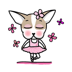 [LINEスタンプ] BIRKIN the Chihuahua