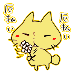 [LINEスタンプ] ほとけのかおにゃんこの画像（メイン）