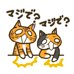 [LINEスタンプ] ねこがいっぱい2(二人一組編)の画像（メイン）