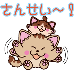 [LINEスタンプ] まるねこ 花蘭＆夢蘭の画像（メイン）