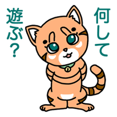 ねこのまるまると遊ぼう