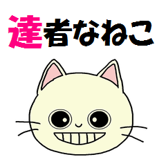 [LINEスタンプ] 達者なねこ