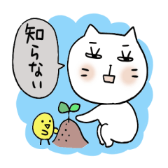 [LINEスタンプ] リアクション猫決定版！どんなときも