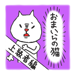 [LINEスタンプ] おまいらの猫 -上級者編-