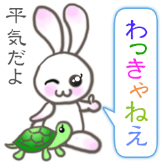 [LINEスタンプ] 全国で使える☆群馬のほのぼのうさぎ＆カメの画像（メイン）