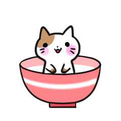 [LINEスタンプ] どんぶりのなかの子猫ちゃん