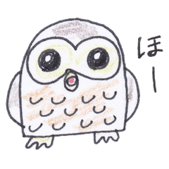 [LINEスタンプ] ふくろうのほーくんの画像（メイン）