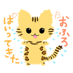 [LINEスタンプ] ベンガル猫のライラ