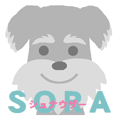 シュナウザーの『SORA』