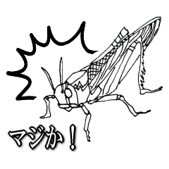 [LINEスタンプ] クールな虫スタンプ