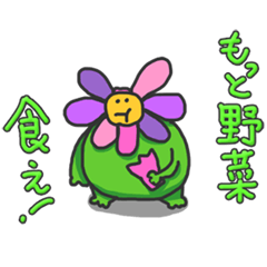 [LINEスタンプ] ぽっちゃりフラワーの画像（メイン）