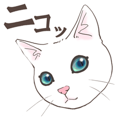 [LINEスタンプ] 白い猫様達