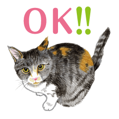 [LINEスタンプ] ねこのみるくちゃんの画像（メイン）