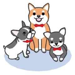 [LINEスタンプ] プラスわんこのスタンプ