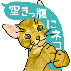 [LINEスタンプ] 空きっ腹にネコ