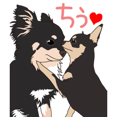 [LINEスタンプ] チワワのCOCOとLOUISの画像（メイン）