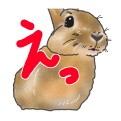 [LINEスタンプ] うさぎの麦ちゃん