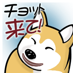 [LINEスタンプ] Tarie basic style 1の画像（メイン）