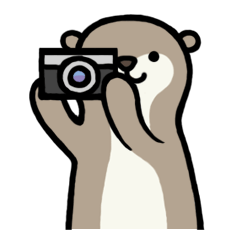 [LINEスタンプ] ゆるいカワウソさん