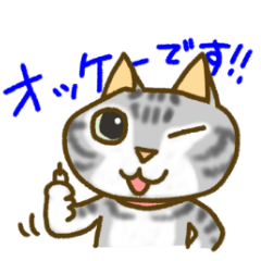 [LINEスタンプ] アメショー猫のポテトの画像（メイン）